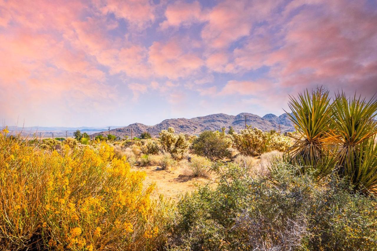 @ Marbella Lane - Modern Rustic Home In Jt Joshua Tree Exteriör bild